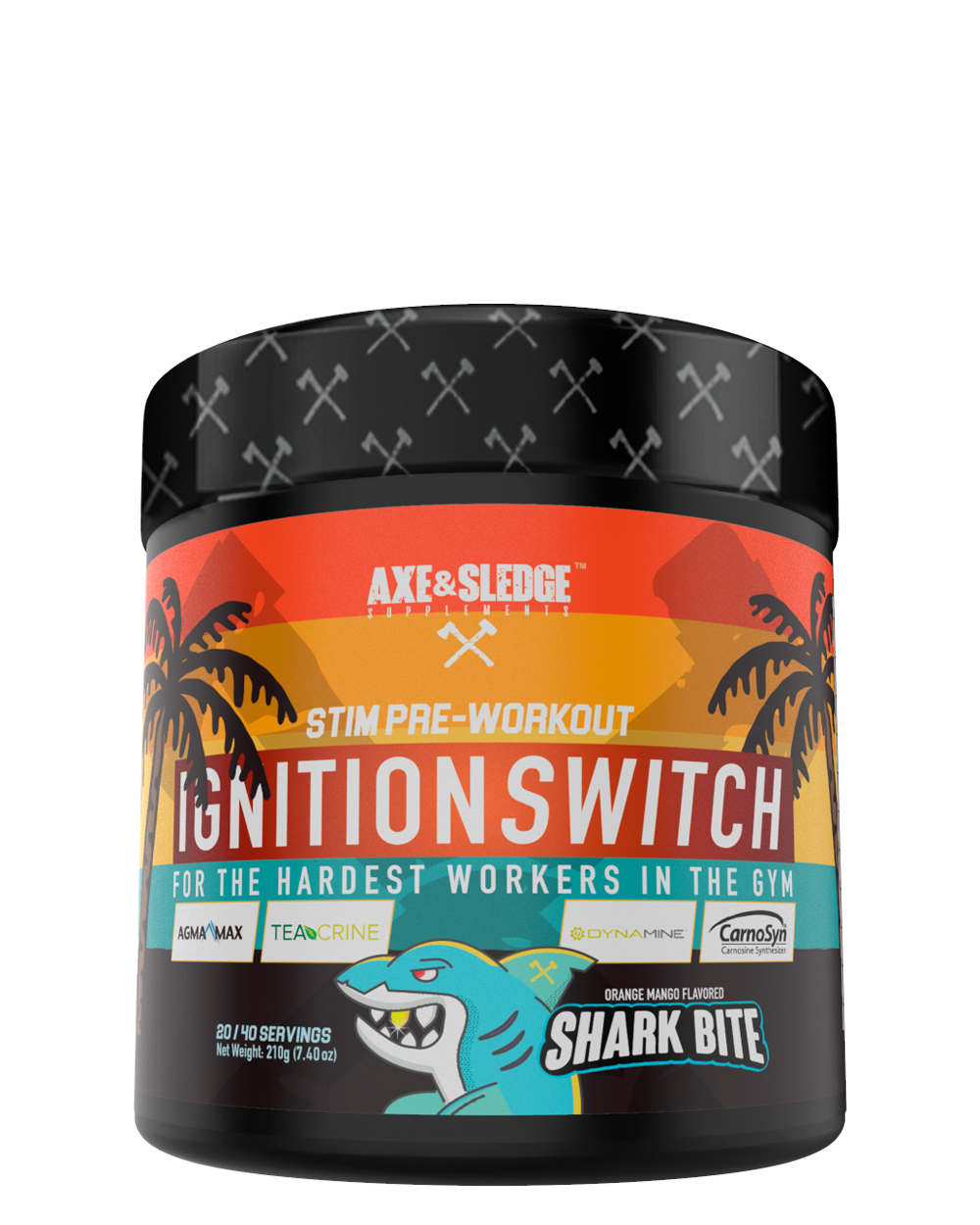 Ignition Switch